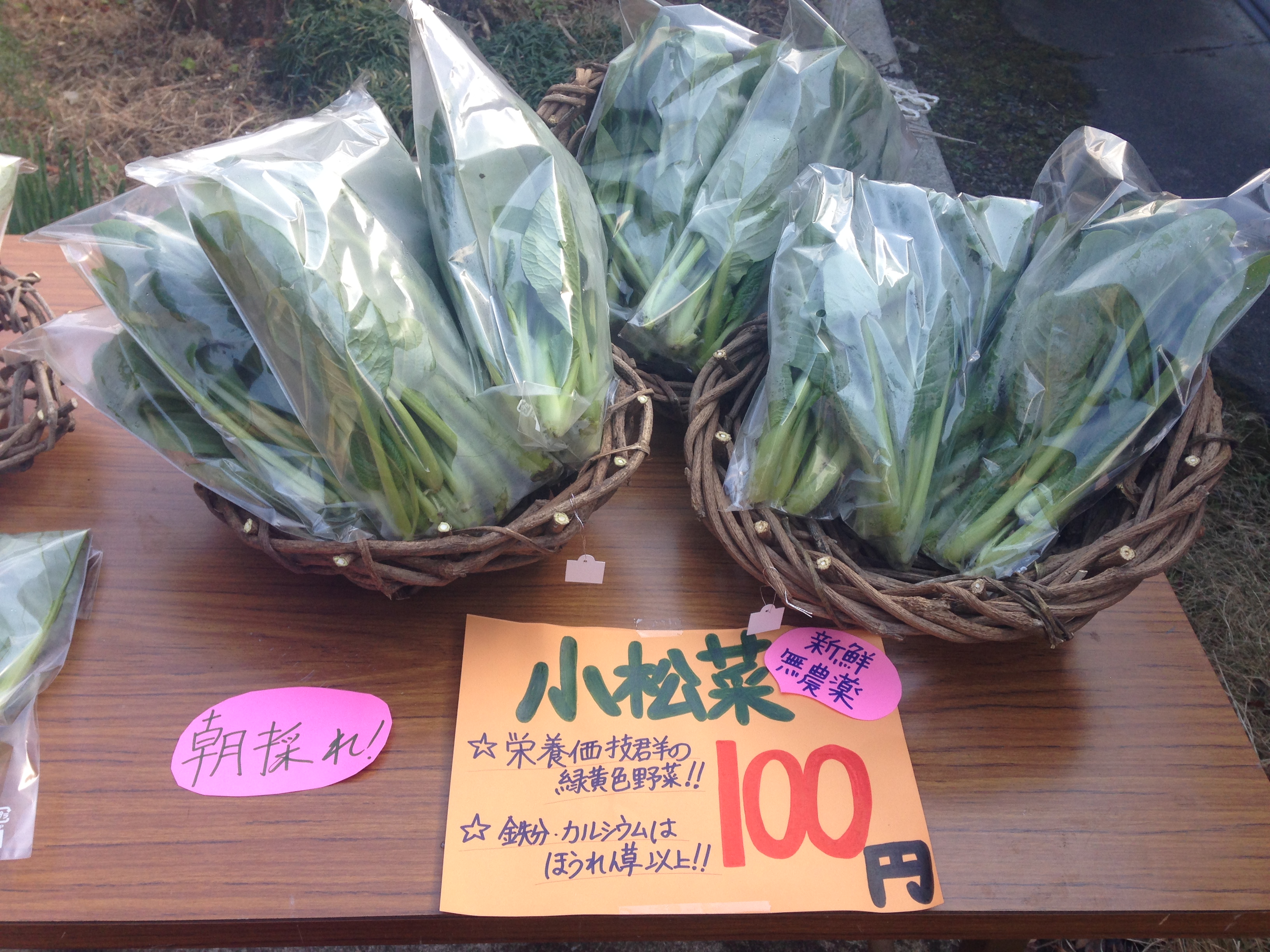 朝採れの小松菜が100円！