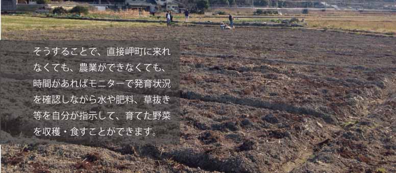 そうすることで、直接大阪府岬町に来れなくても、農作業ができなくても、時間があればモニターで発育状況を確認しながら水や肥料、
      草抜き等を自分が指示して、育てた野菜を収穫・食すことができます。